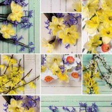 Tela Cerata Tovaglia Narcisi Osterglocke Legno B4036-01 Angolare Rotondo Ovale