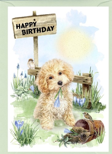 Biglietto compleanno cane - biglietto,