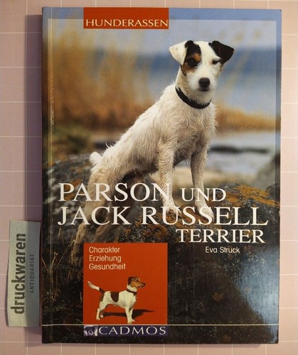 Parson und jack russel - und,