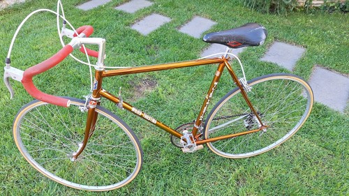 Bicicletta wilier triestina - wilier,