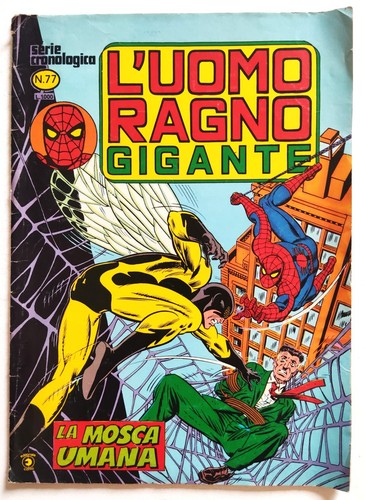 Fumetto uomo ragno - ragno, gigante