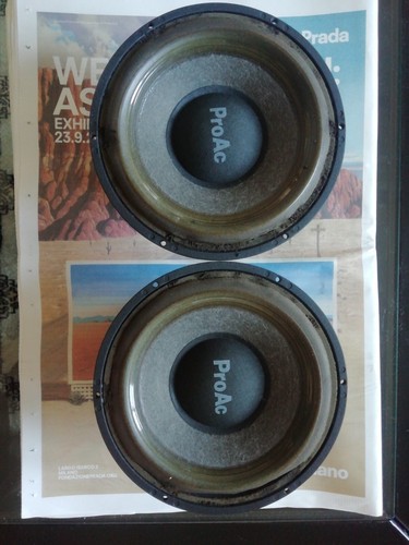 Woofer proac pezzi - n.2,