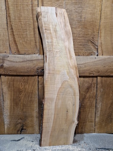 Lastra cedro legno bordo - lastra, di
