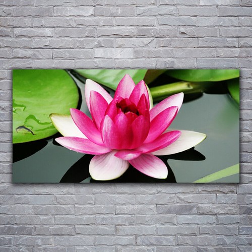 120x60 stampa tela - stampa,