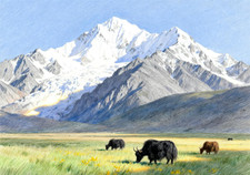 Kit Punto Croce, Pascolo Ai