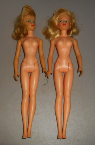 Bambola nebbiosa ideal glamour - bambola,