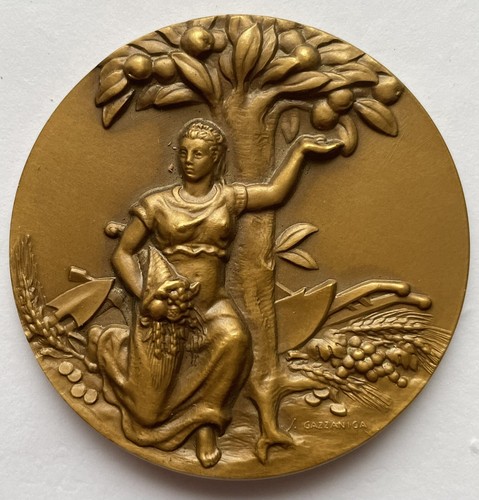 Medaglia centenario cassa - i, di