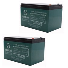 Due batterie 12V 12Ah 6-DZM-12