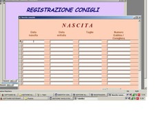 SOFTWARE GESTIONE ALLEVAMENTO CONIGLI SU PENDRIVE