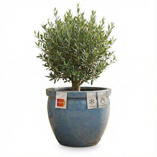Teramico fioriera ceramica - fioriera,