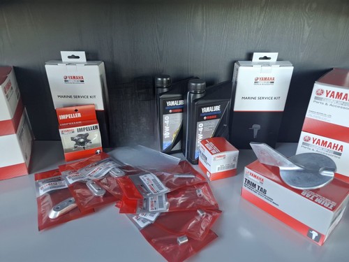 Kit tagliando originale - kit,