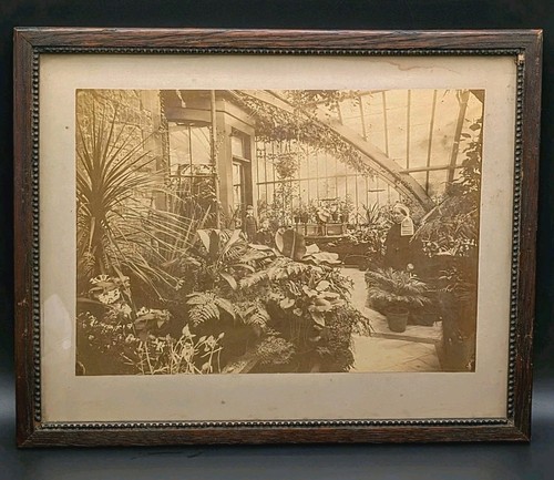 Foto conservatorio tenuta