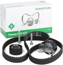 INA 530023810  kit cinghia dis
