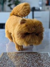 Harry Potter Crookshanks Cat