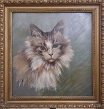 Dipinto Olio Su Cartoncino Raffigurante Gatto , Dipinto Gatto