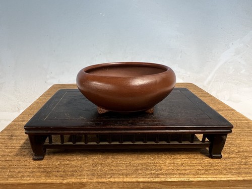Vaso per bonsai - , tokoname