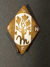 Distintivo Unione F Famiglie