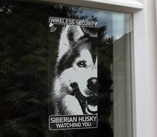 Adesivo Siberian Husky