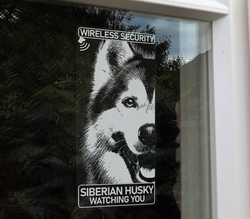 Adesivo siberian husky - adesivo,