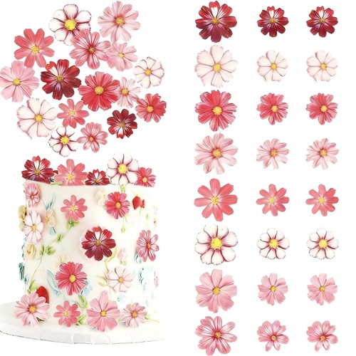 Hapzur fiori commestibili per - hapzur,