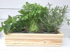 Fioriera in legno massello -