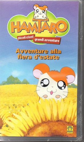 Hamtaro piccoli criceti - hamtaro, grandi