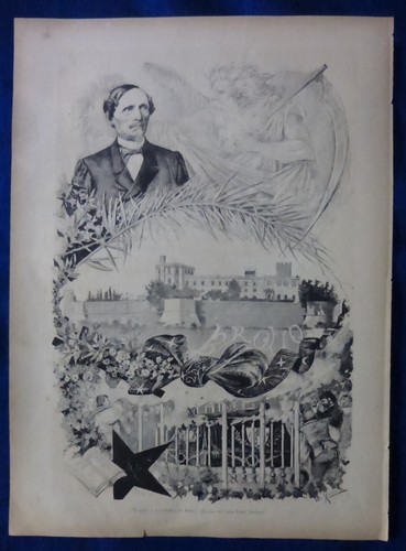 Incisione 1880 ricasoli e - incisione,