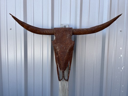 Longhorn steer skull - skull, metallo