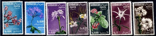 Somalia afis 1955 fiori - somalia,