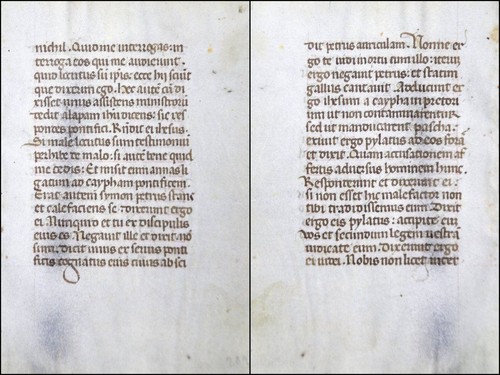 Grafia pergamena foglia - grafia,