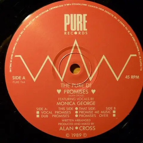The pure featuring vocals - dj,