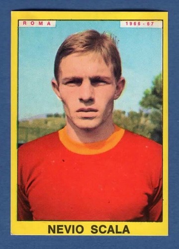Figurina calciatori panini - figurina,
