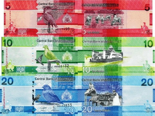 Gambia lotto 3 - gambia,