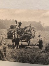 Vintage Farming Postcard