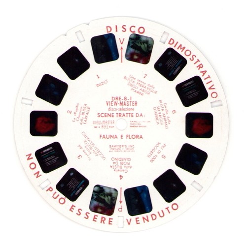 View master dre - view, disco