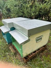 Arnia apistica usata, tenuta benissimo