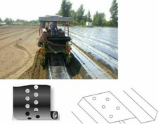 TELO PACCIAMATURA FORATO FILM