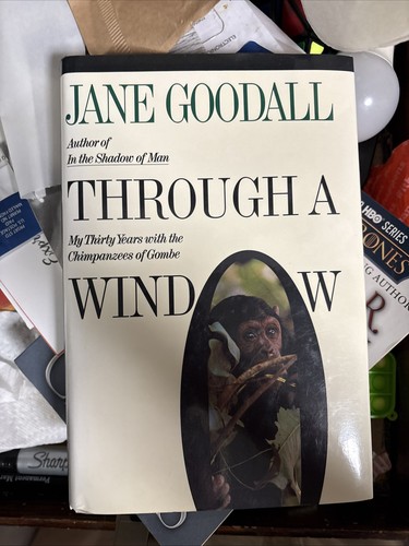 Through window jane goodall - a,