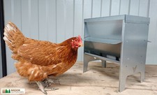 Tramoggia alimentatore pollame