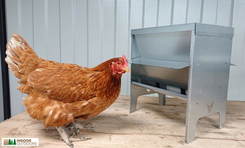 Tramoggia mangiatoia pollo