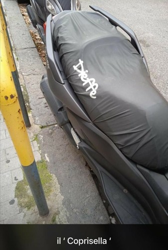 Coprisella scooter - ,