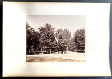 grande foto parco delle Cascine Firenze Italia italia foto estate c 1875
