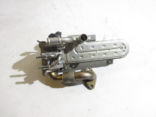 Radiatore gas scarico vw - gas,