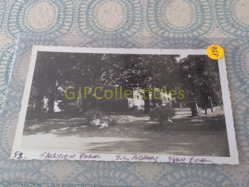 Bif vintage photograph spencer - vintage,