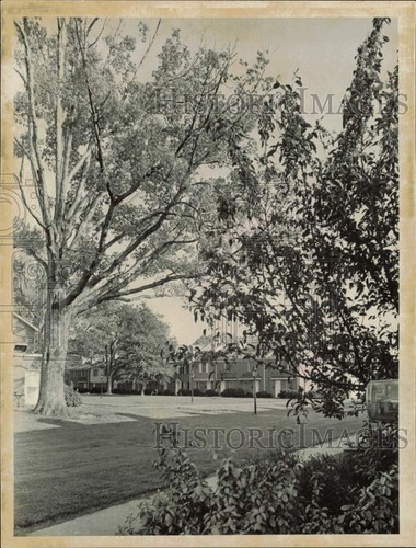 1969 foto stampa cortile - foto,