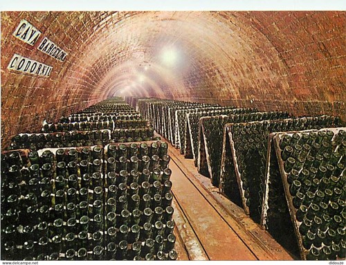 Carte postale vignes cavas - postale,