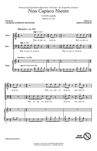 Non capisco niente satb - non,