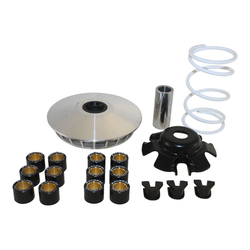 Variatore malossi multivar per - malossi,
