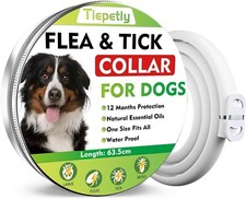 Collare antipulci cane - antipulci,