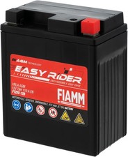 Batteria Moto FIAMM FTZ8V-12B